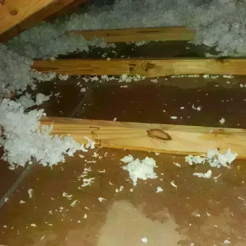 Attic Water Damage in Poteet, TX