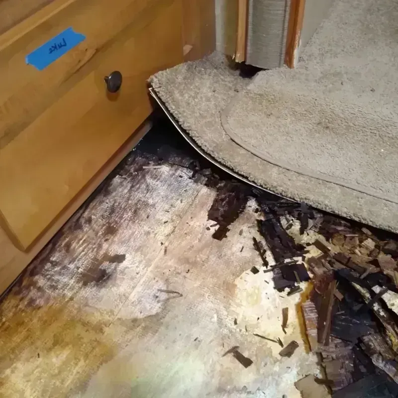 Best Wood Floor Water Damage Service in Poteet, TX